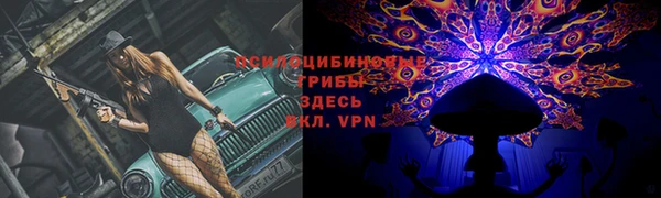 гашик Абинск