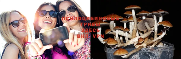 сатива Абдулино