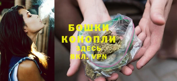 сатива Абдулино