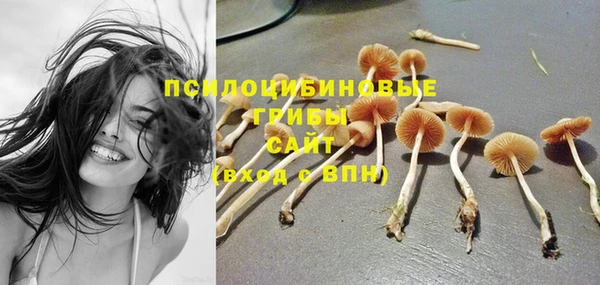 сатива Абдулино