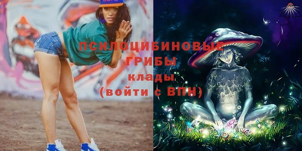 гашик Абинск
