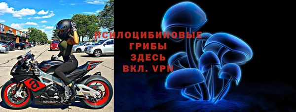 гашик Абаза