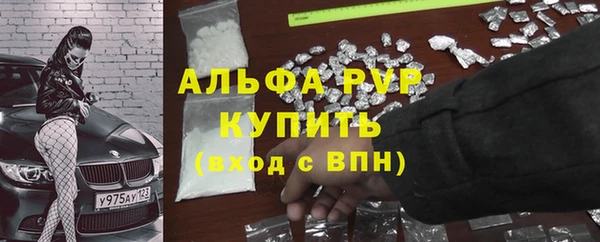 гашик Абаза