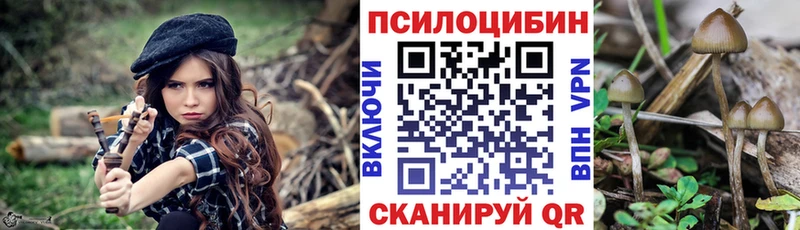 Галлюциногенные грибы Magic Shrooms  MEGA   Россошь  что такое наркотик 