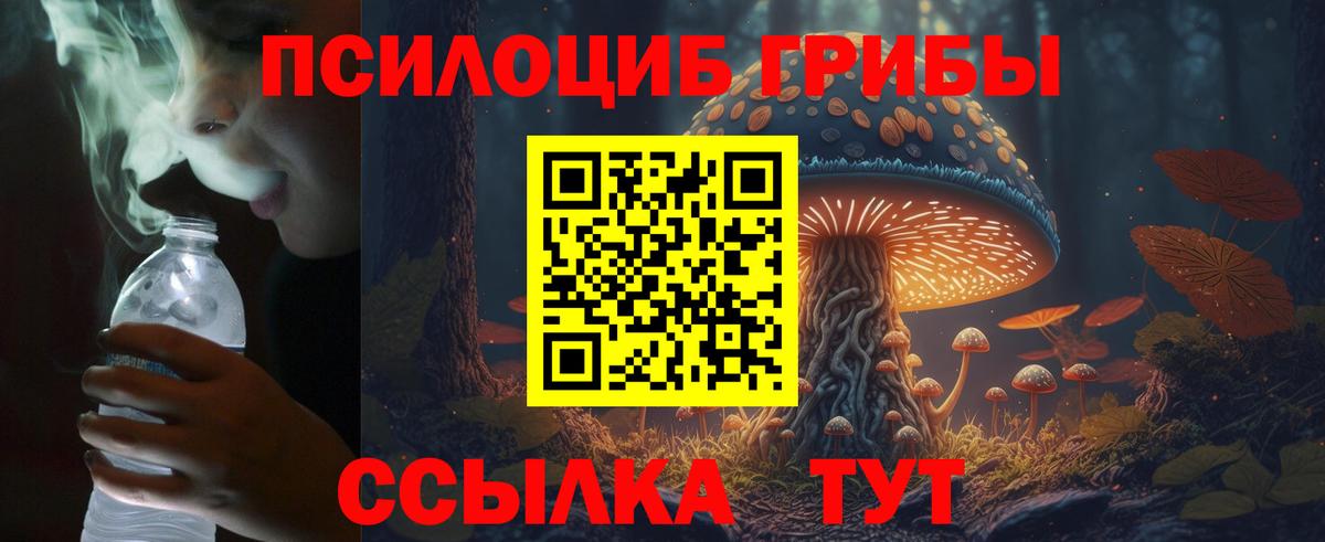 Псилоцибиновые грибы мицелий  купить закладку  Россошь  Вход с VPN 